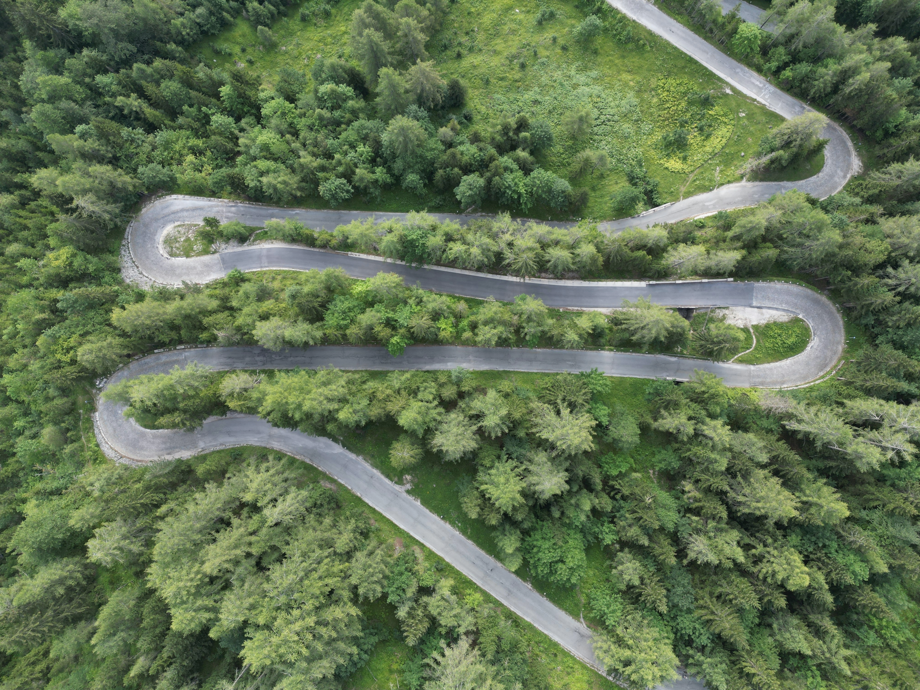 business success metrics, achievement celebration, growth visualization